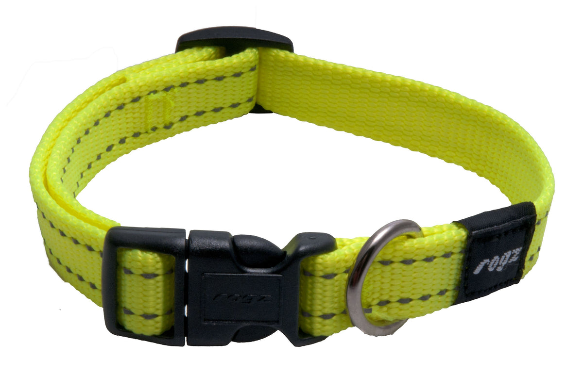 Dayglo sales dog collars