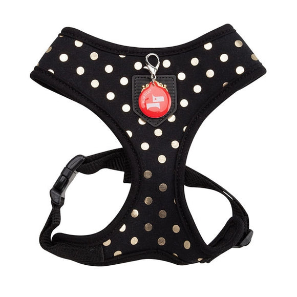 Modern Dotty Harness Black Large