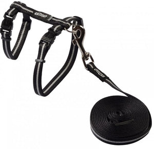 Alleycat Harness & Lead Set Black 11mm