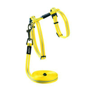 Alleycat Harness & Lead Set Dayglo 11mm