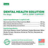 TropiClean Fresh Breath Dental Health Solution Plus Hip & Joint for Dogs